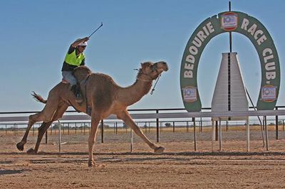 Bedourie Camel Races
