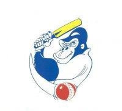 Melbourne Deaf Cricket Club