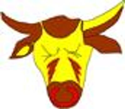 Dandenong West Cricket Club