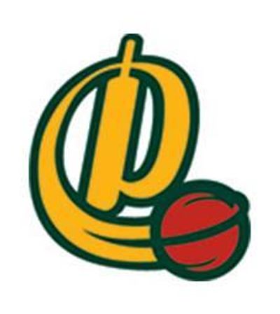 Deepdene Uniting Cricket Club