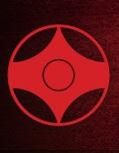 Extreme Kyokushin Karate