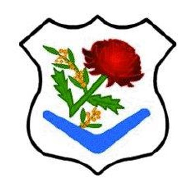 Birrong Sports Netball Club