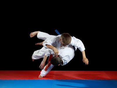 Taekwondo Wolves