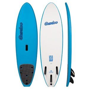 Gone Surfin Surf School