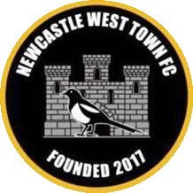 NCW Town FC, Ballygowan Park, The Demesne