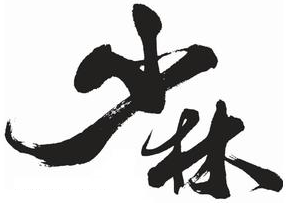 Shaolin Club Pte Ltd