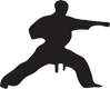 Karate training Class { Funakoshi shotokhan karate-Do association }