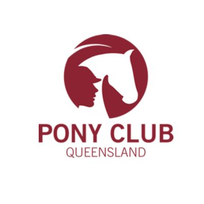 Callistemon Pony Club