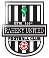 Raheny United Football Club