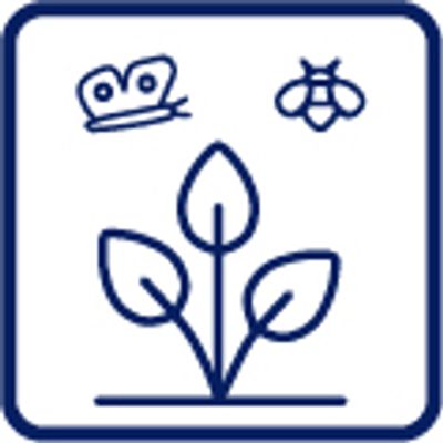 Royal Automobile Club, Woodcote Park Country Club