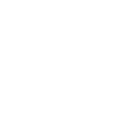 Brother Boxing