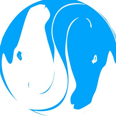 Holistic Equitation