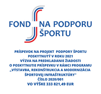 Winter stadium