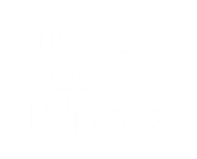 Stud De L'artolie