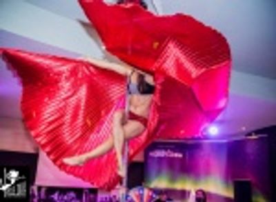 POLE DIVA art vertical dance