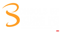 Schools Of Kung Fu Paris - Iwka - Wing Chun