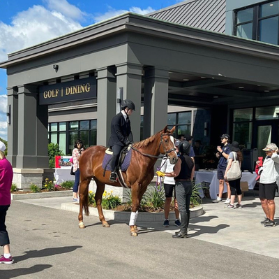 TEAD - Therapeutic Riding Centre