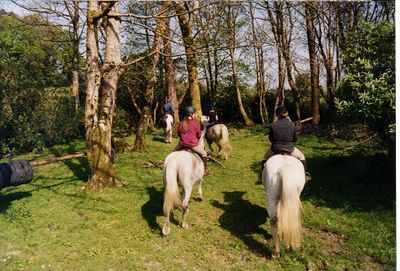 Dromquinna STABLES Dromquinna STABLES