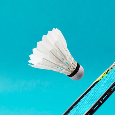 Para-Badminton