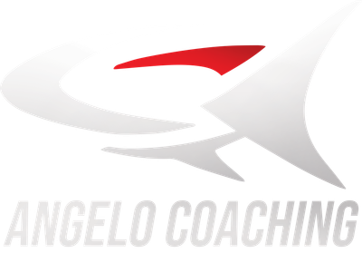 Trainer Bordeaux -