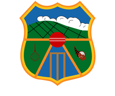 Pukekohe Metro Cricket Club