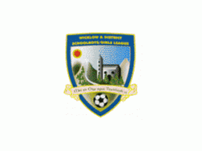 Ashford Rovers AFC (Soccer Club)