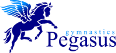 Pegasus Gymnastics Club Pegasus Gymnastics Club