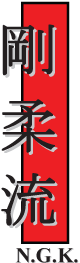 Northern Goju Karate