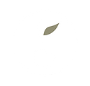 Seed and Blossoms Wellness