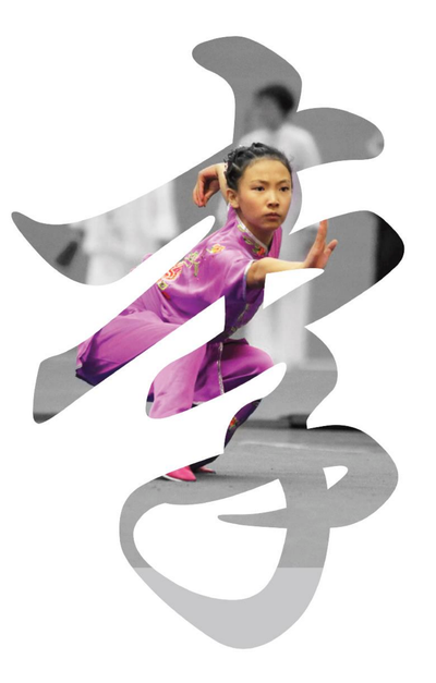 Wayland Li Martial Arts Centre 