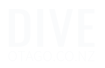 Dive Otago Ltd