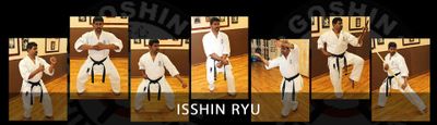 Goshin Isshinryu Karate India