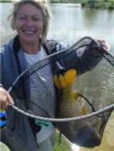 Brook Farm Fishery