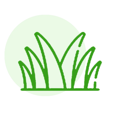 R.K. Turf and Garden | Cricket and Football Turf R.K. Turf and Garden | Cricket and Football Turf