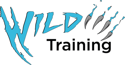 Wild Training Studios