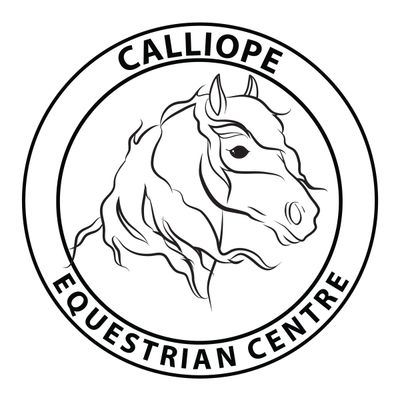 Dusty Rose Performance Horses 
