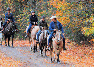 Trickle Creek Farms