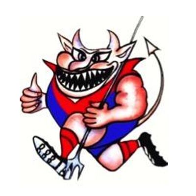 Portarlington Demons Football Netball Club