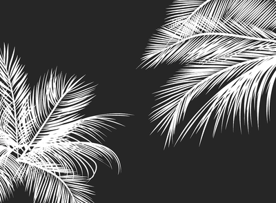 Tahiti Aux Marquises