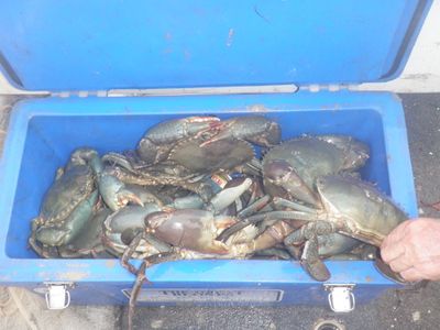 Shoal Bay Sportfishing Tours