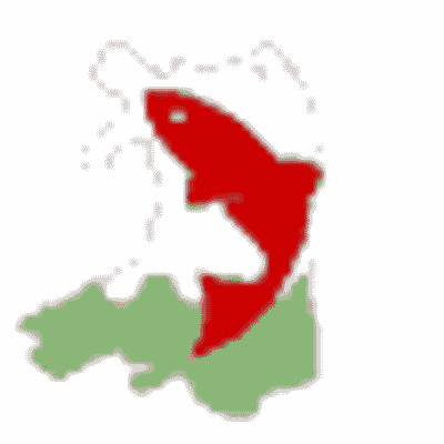Fly Fishing Wales