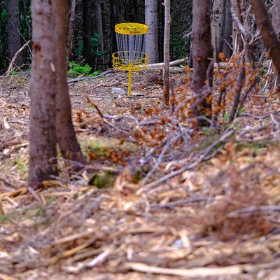 Corner Brook Disc Golf Course
