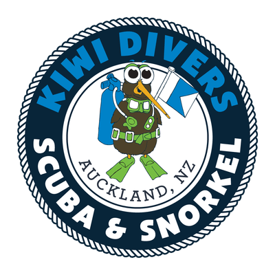 Auckland Scuba Dive