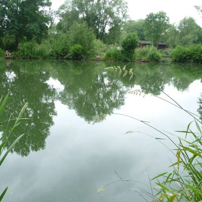 Hamstall Fishery