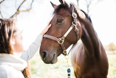 Spring Valley Stable