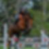 Mangere Pony Club