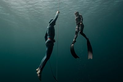 FreediveFNQ