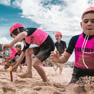 Nippers