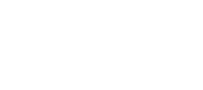The Dance Workshop