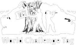 World Challenge Tag Paintball
